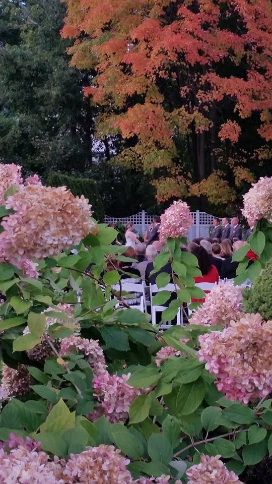 Fall ceremony through hydrangeas at The Commons 1854